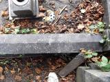 image of grave number 499262